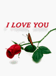 pic for I Love you rose